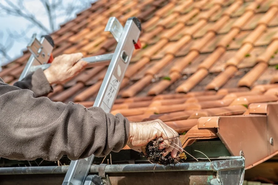 How Gutter Cleaning Helps Prevent Mold And Mildew Growth Newark, NJ