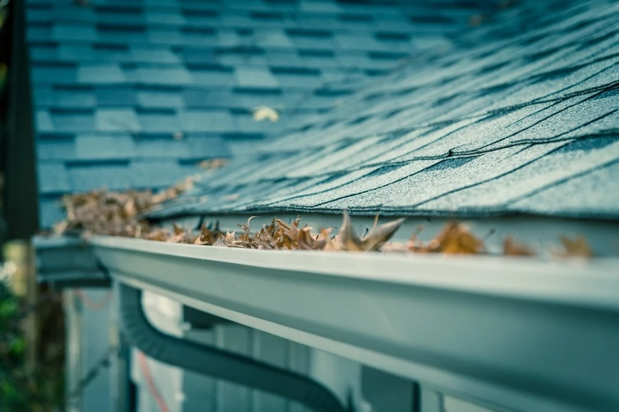 How Gutter Cleaning Helps Prevent Mold And Mildew Growth in Newark, NJ